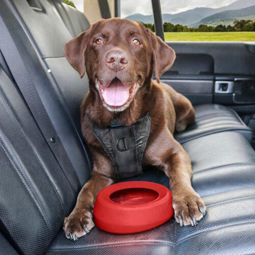 Kurgo Splash Free Wander Water Bowl