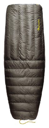 Sac De Couchage Sea To Summit Ember -1C Gris