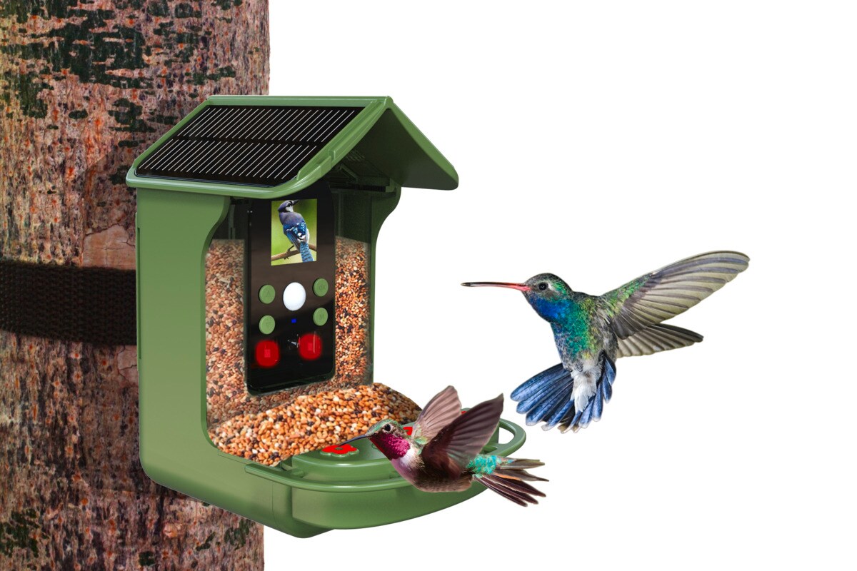 Denver Birdcam mit Akku BFC-1200
