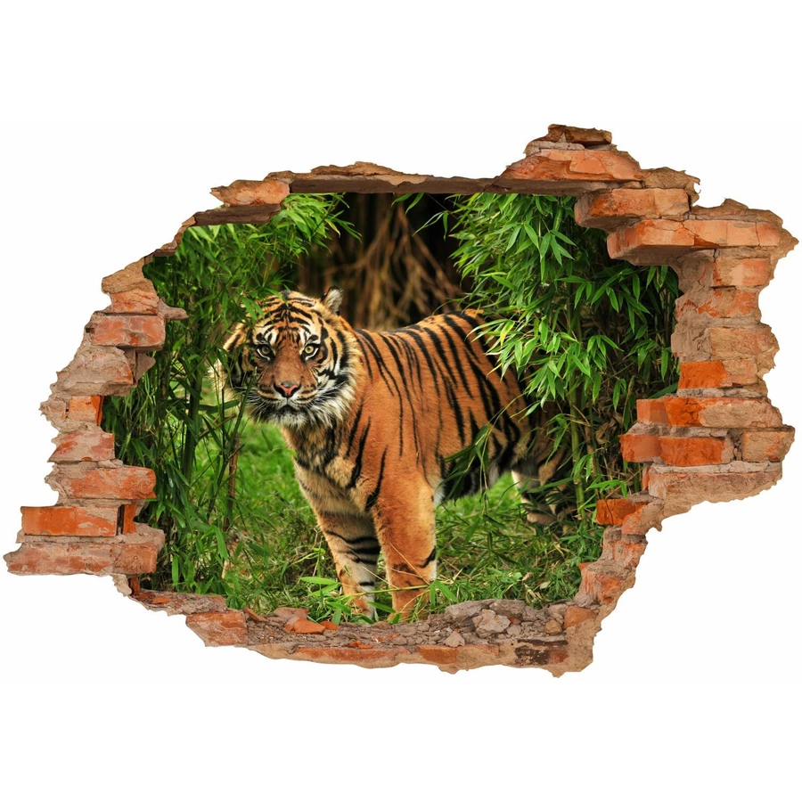 Nikima Wandtattoo 030 Tiger - Loch in der Wand in 6 vers. Größen bunt