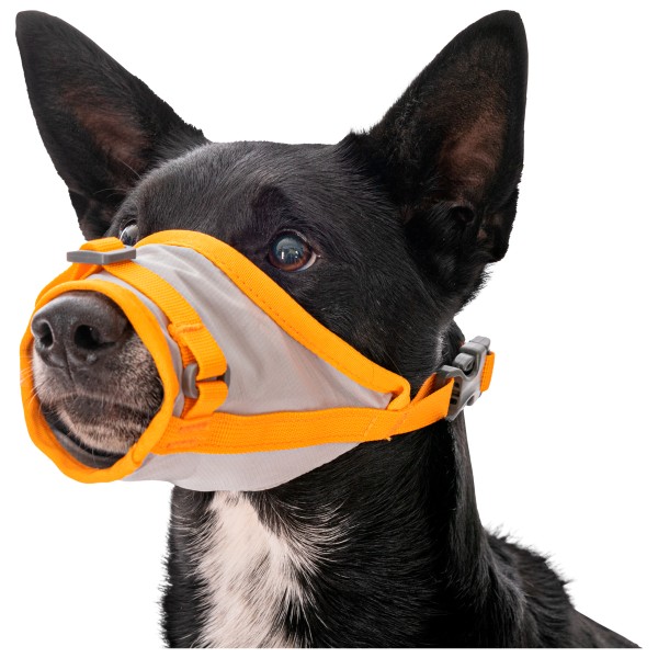 Ruffwear - BackTrak Dog Evacuation Kit - Accessoire pour chien