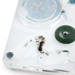 Formigueiro Hori-Acri para colônias jovens