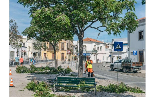 Husqvarna Baum- und Strauchschneider »530iPX Solo« ()