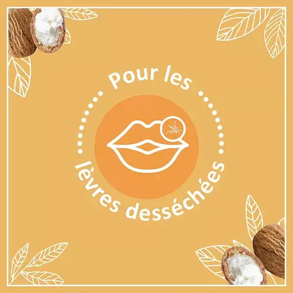 Le Petit Marseillais Soin Lèvres Karité, Amande Douce et Argan Lot de 2 x 4,9g