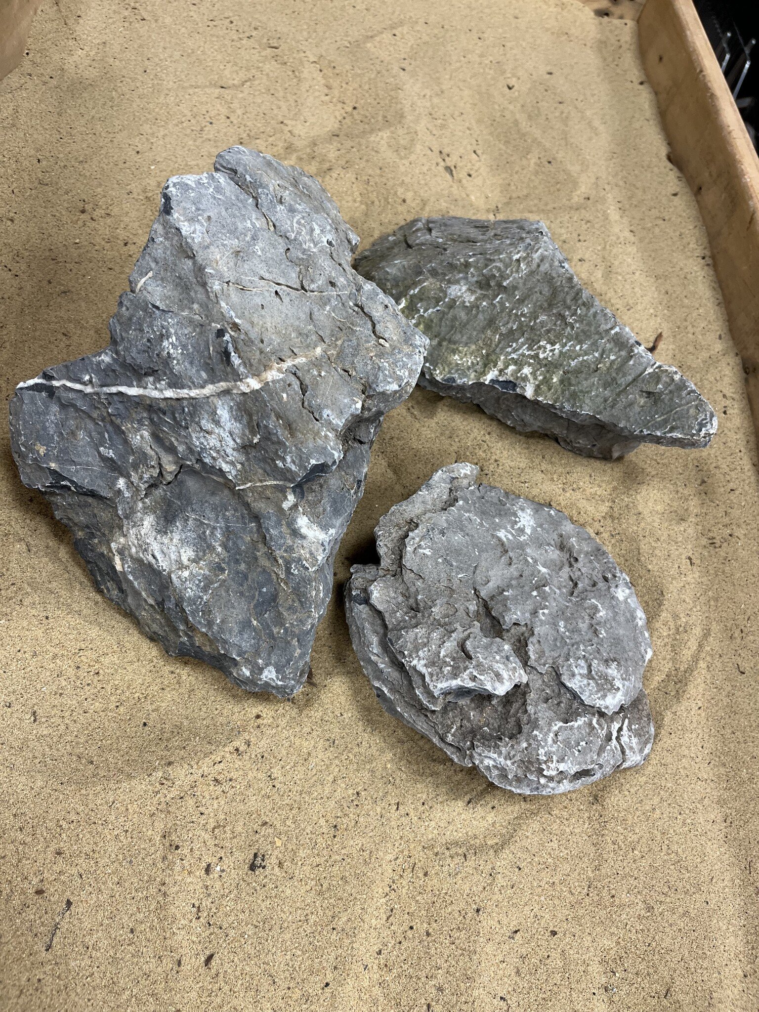 AQXL selected Steenbundel L Ryuoh stone grijs 3 stuks