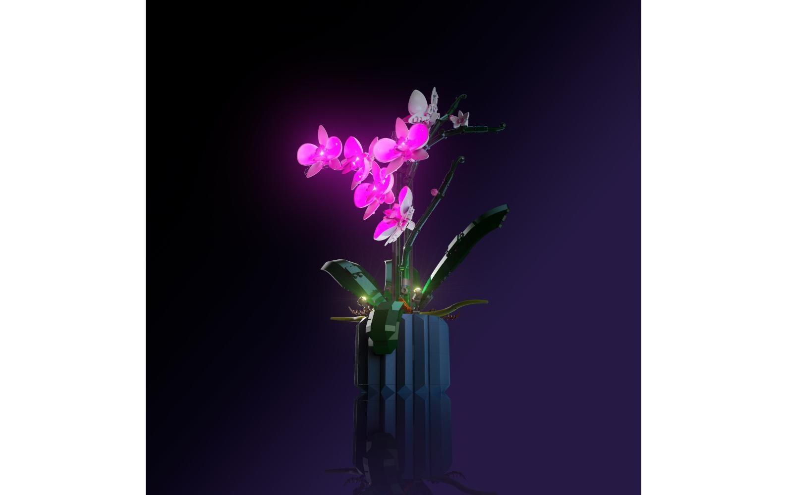 LED-Licht-Set für LEGO® Orchidee 10311Light-Kit