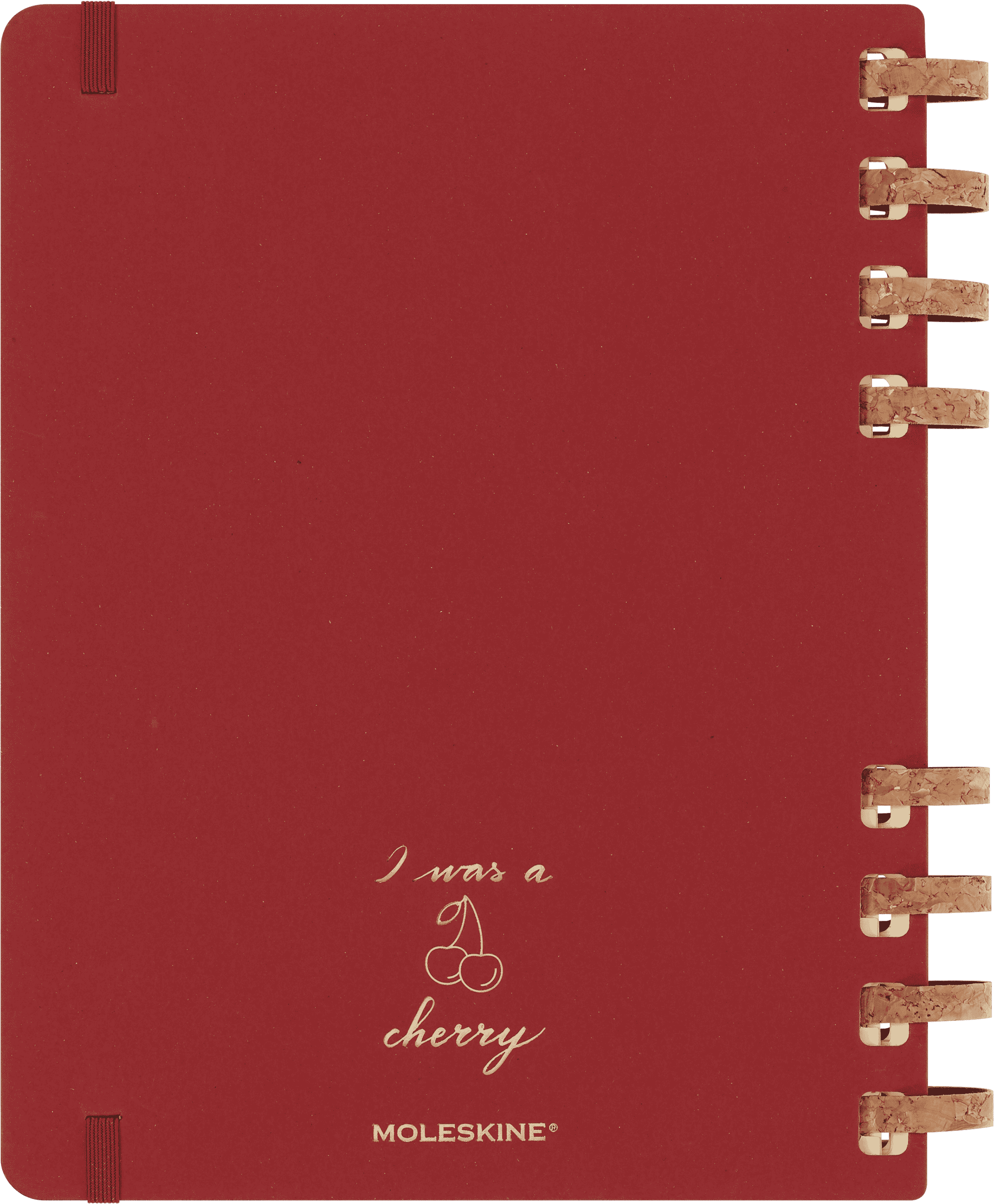 Undated Life Planner XL Weekly and Monthly, Spiral