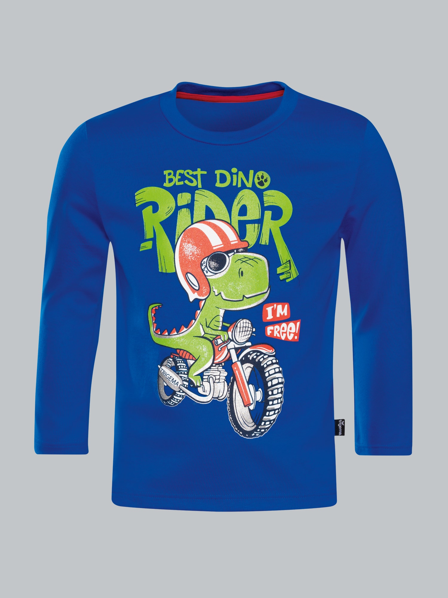 Langarmshirt mit coolem Dino-Printmotiv Royal