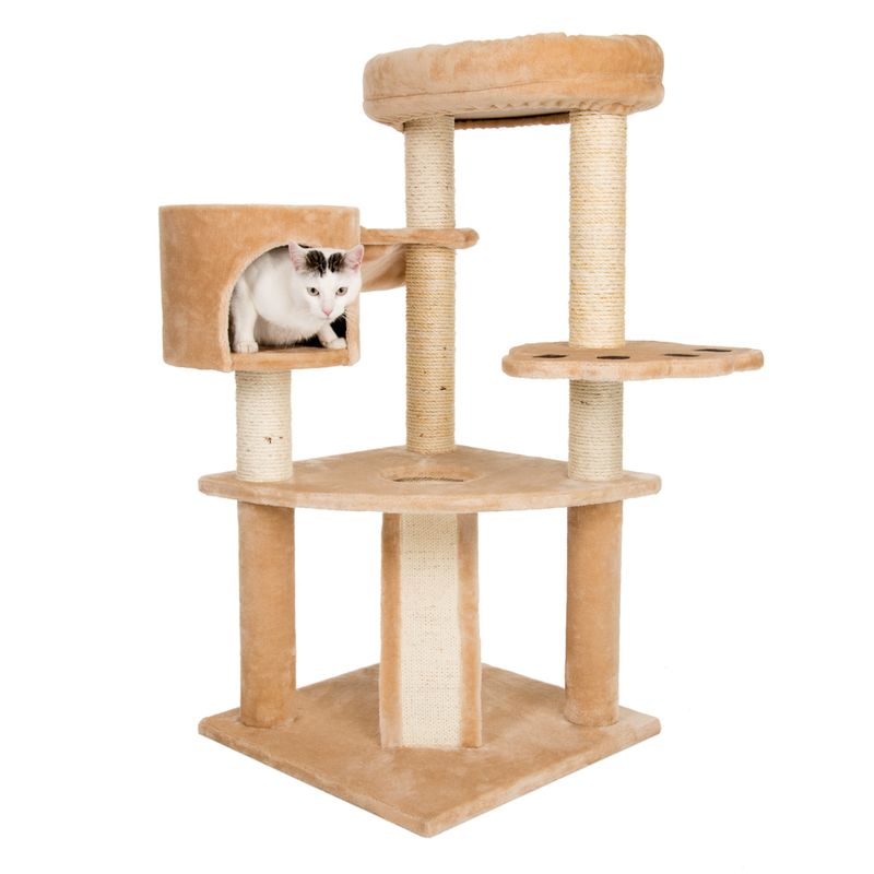 Arbre à chat Tanière d'ours à Prix Discount | bitiba.fr