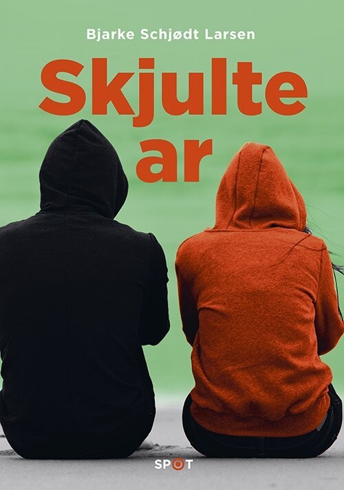 Skjulte Ar - Bjarke Schjødt Larsen - Bog