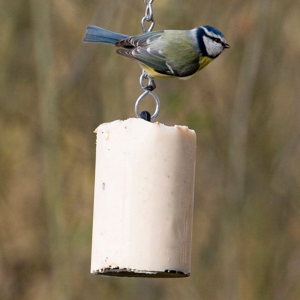 Vogelbescherming Nederland vetbol naturel 500 g