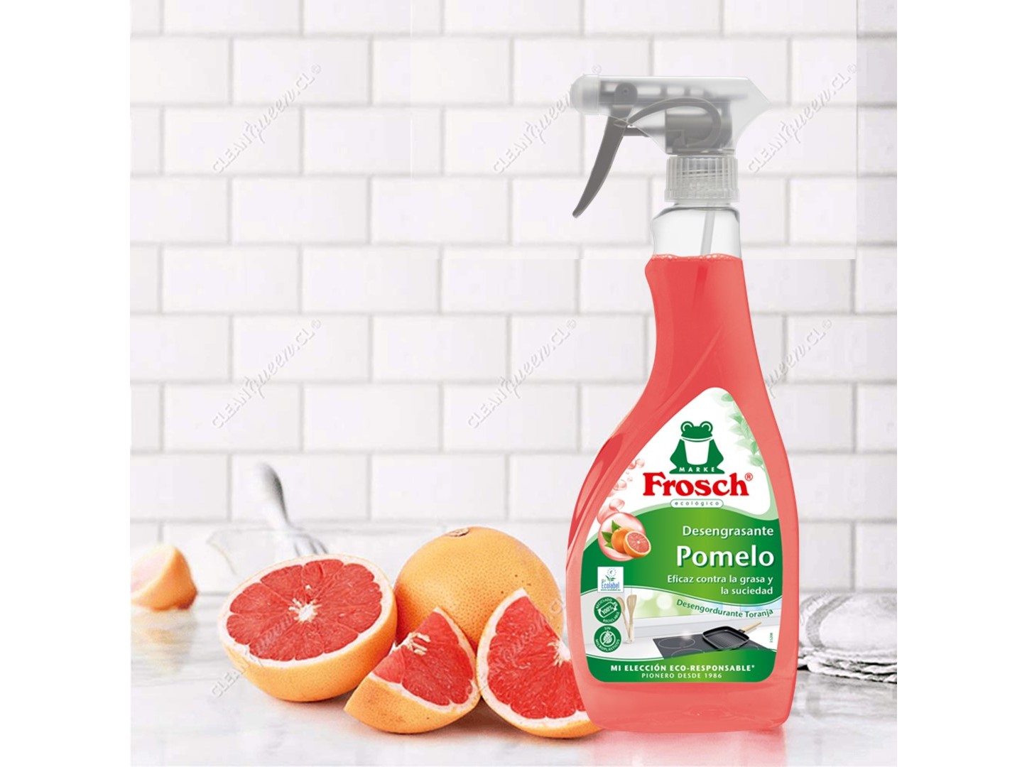LIMPEZA COZINHA FROSCH DESENGORDURANTE TORANJA 500ML