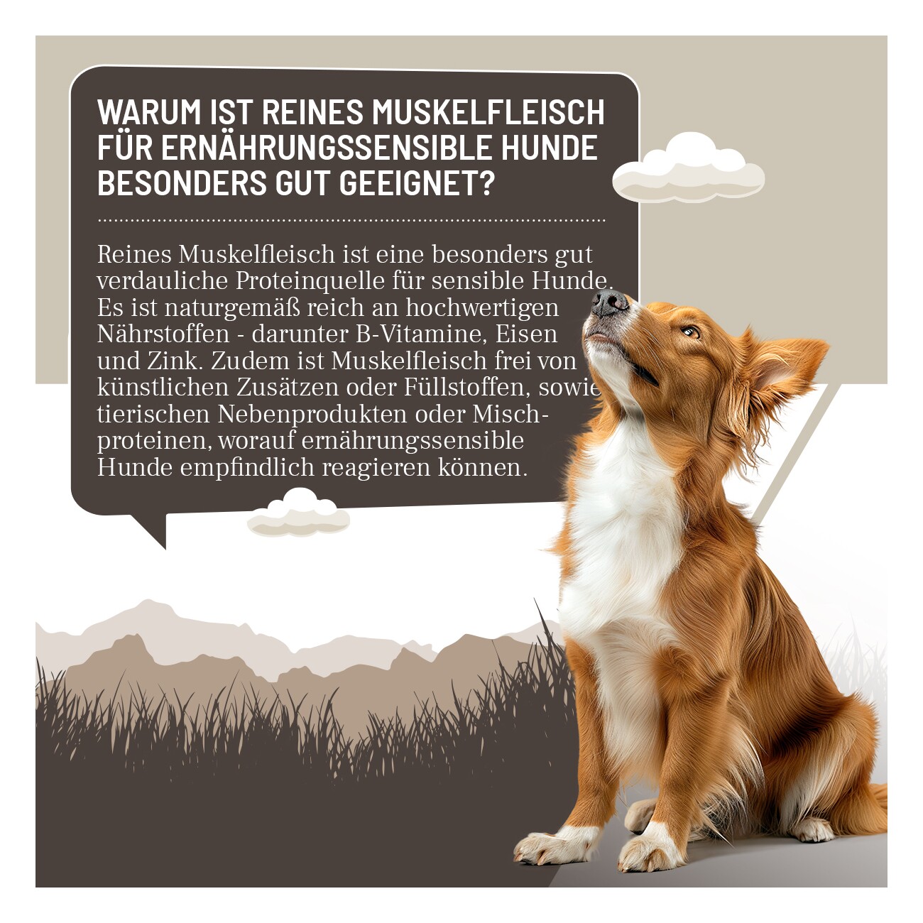 REAVET Hunde Nassfutter - Pferd PUR 6x400 g