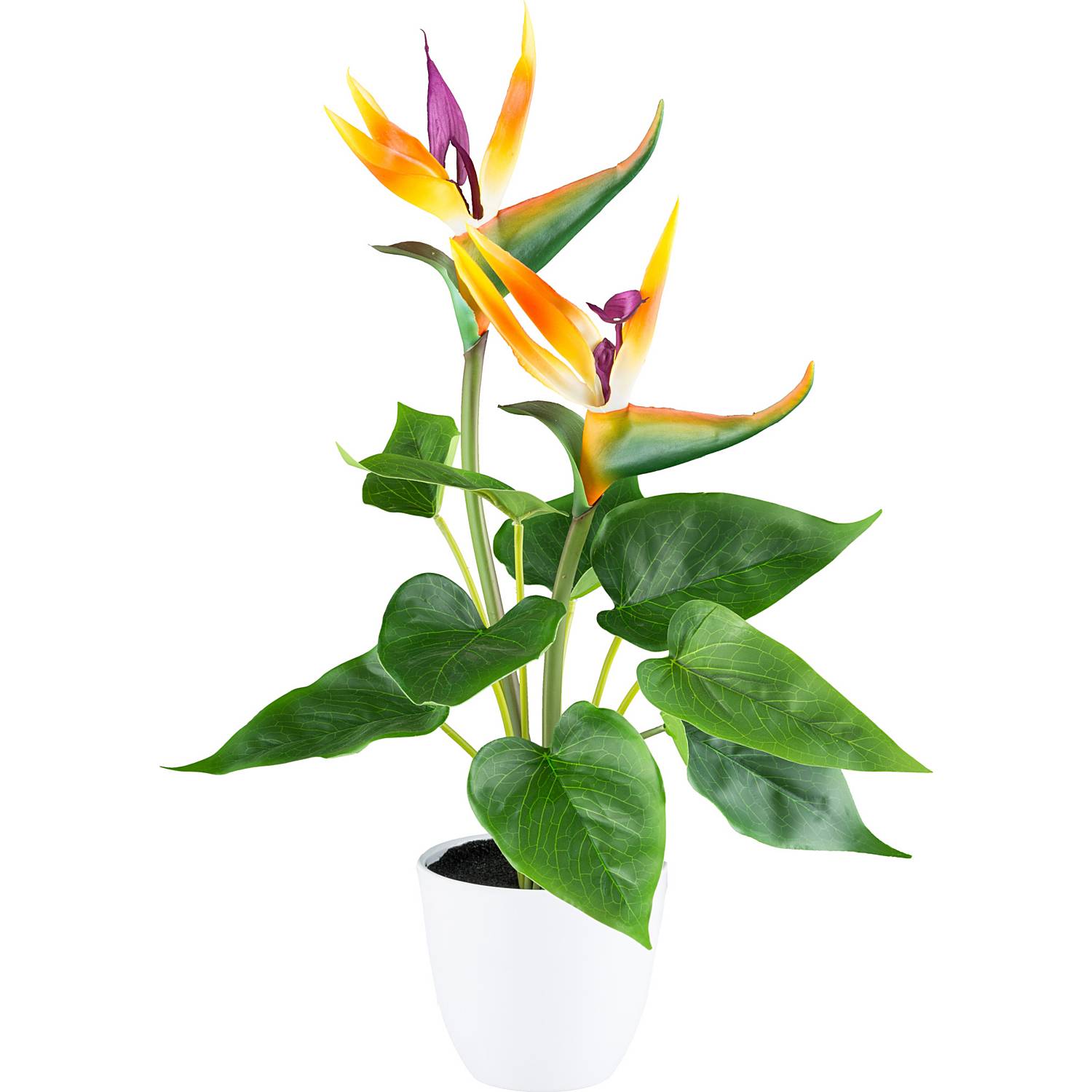Kunstpflanze Strelitzia