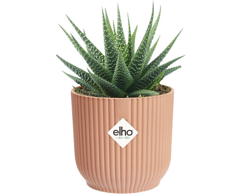 elho Vibes fold ronde mini plastic plantenbak Ø 11,1 cm H 10,5 cm roze