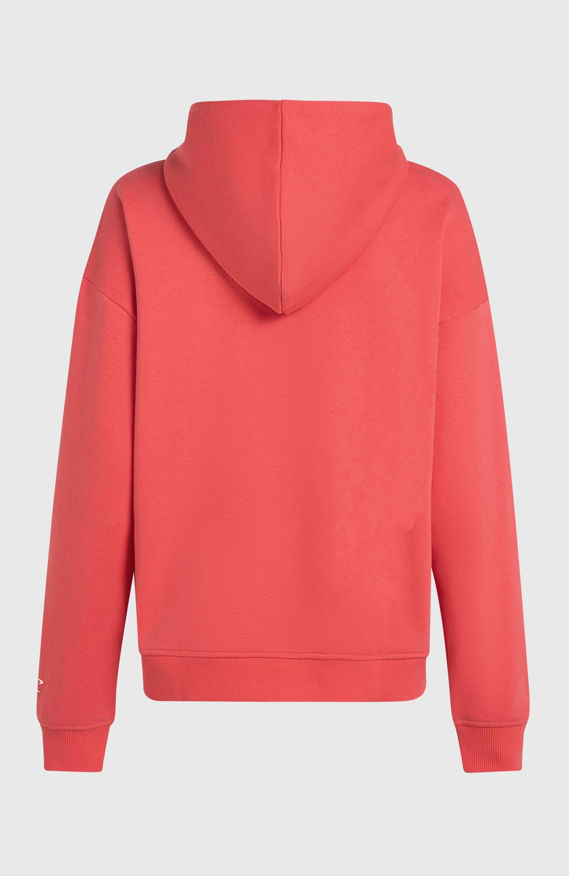 Future Surf Society hoodie