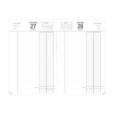 Agenda Vanolin Recettes/Dépenses - 1 jour page - 13 x 21 cm - noir - Quo Vadis
