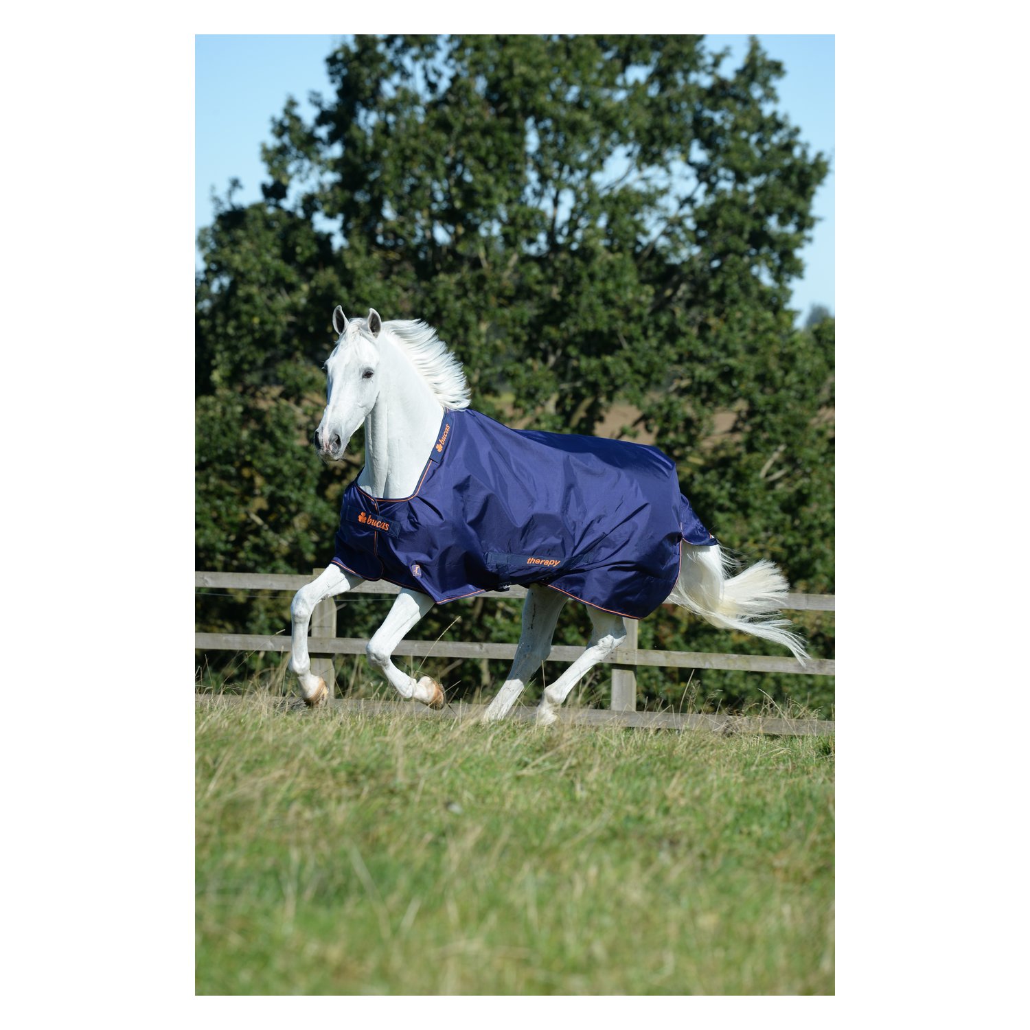 Bucas Outdoor-Therapie-Decke Bucas Therapy - navy - 135 cm