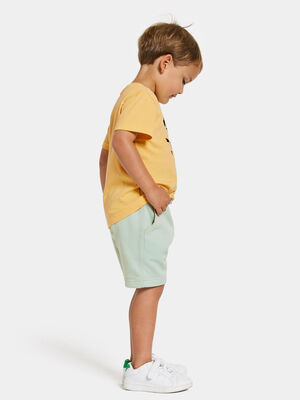 Didriksons Corin Powerstretch Shorts, Pale Mint