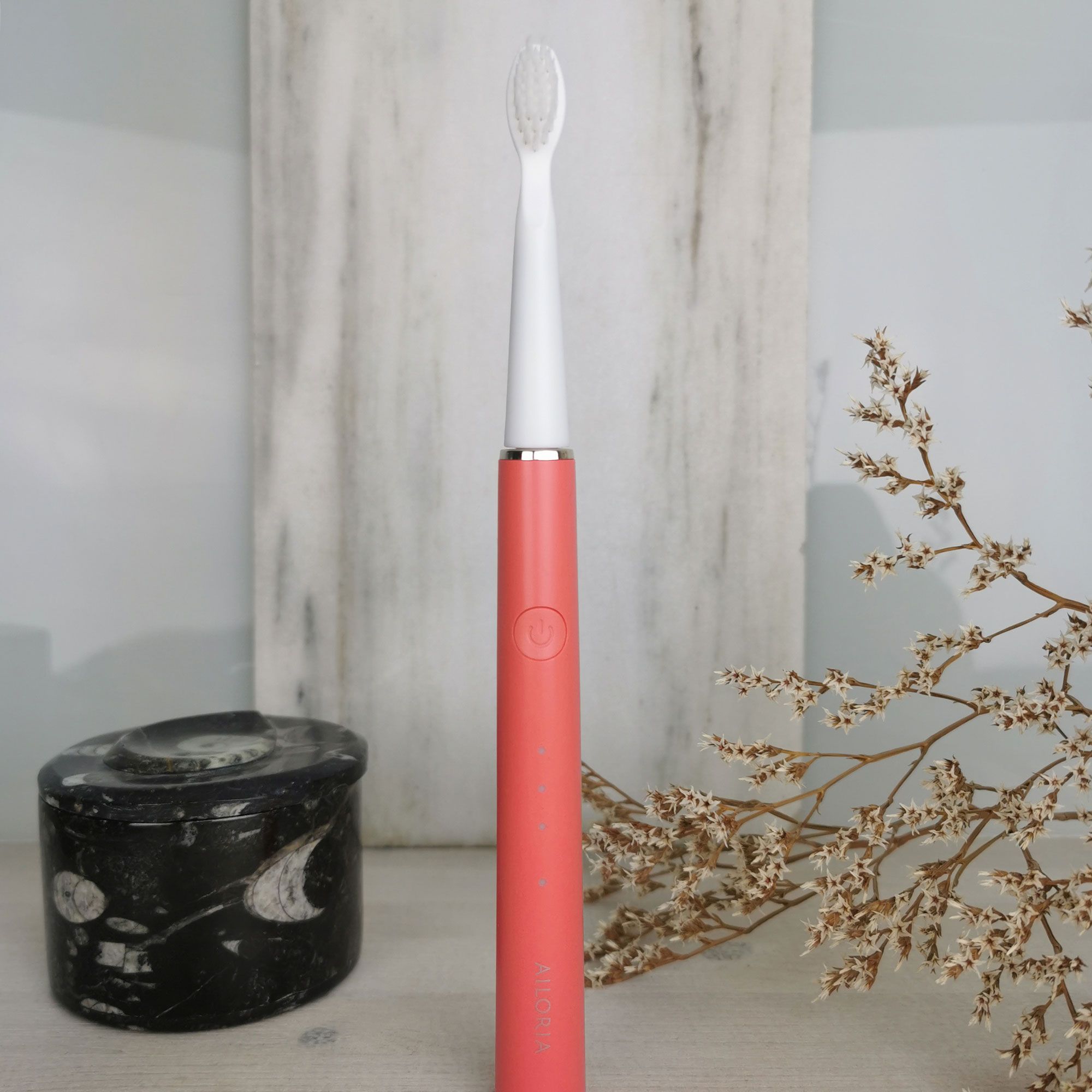 AILORIA PRO SMILE SET USB-Schallzahnbürste