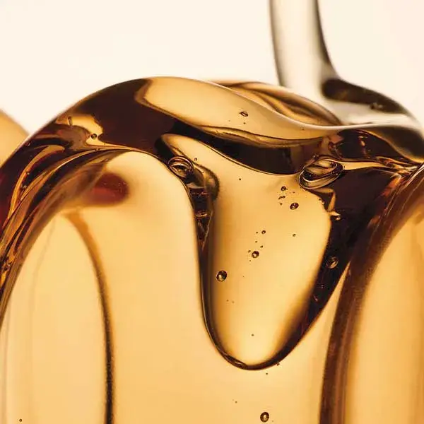 Shampoo Whamisa para Cabelos Secos com Sementes Orgânicas Fermentadas 490ml