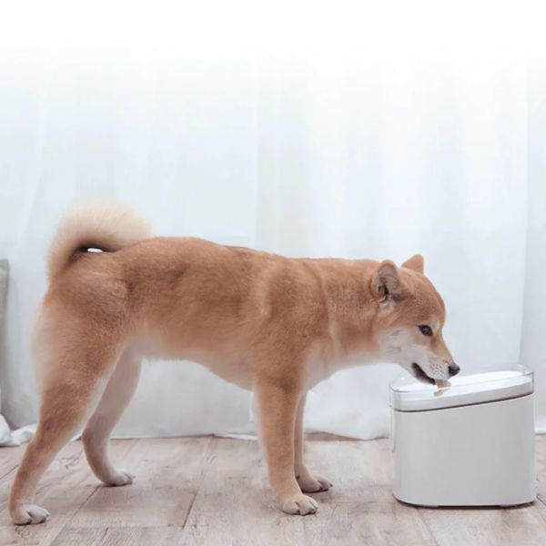 Xiaomi Bebedouro Smart Pet Fountain Branco