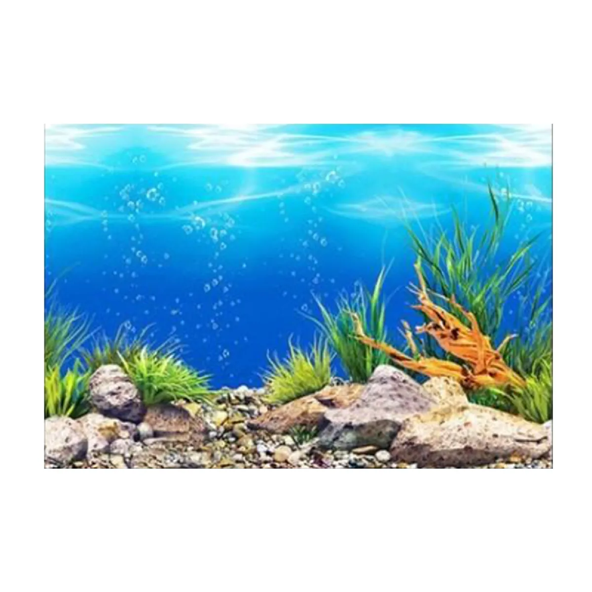 Affiche de fond d'aquarium 30x52cm
