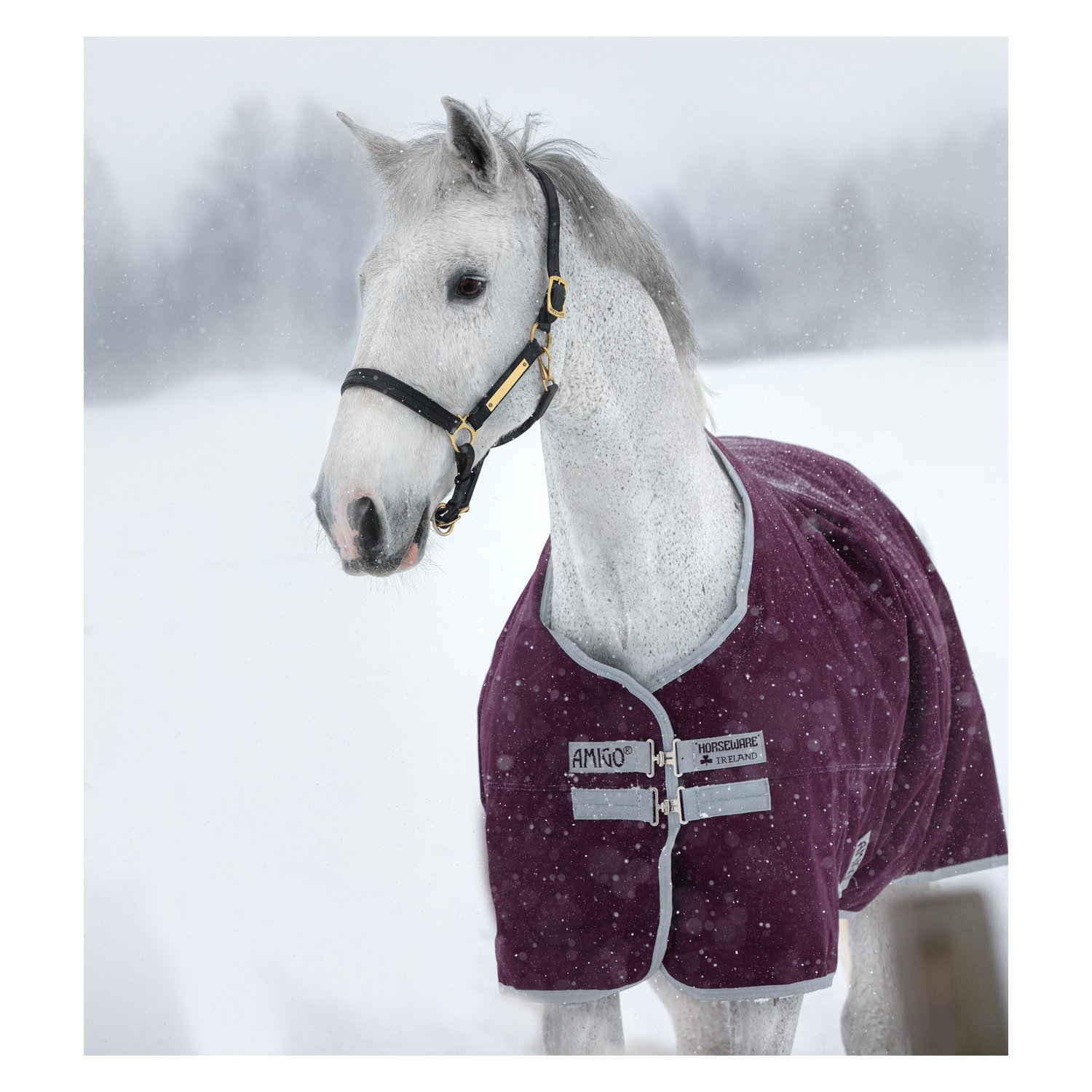 HORSEWARE Outdoordecke AMIGO Hero Ripstop 200 g - feige silber