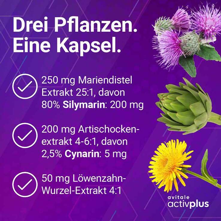 Activplus Mariendistel + Artischocke + Löwenzahn Kapseln , 120 St