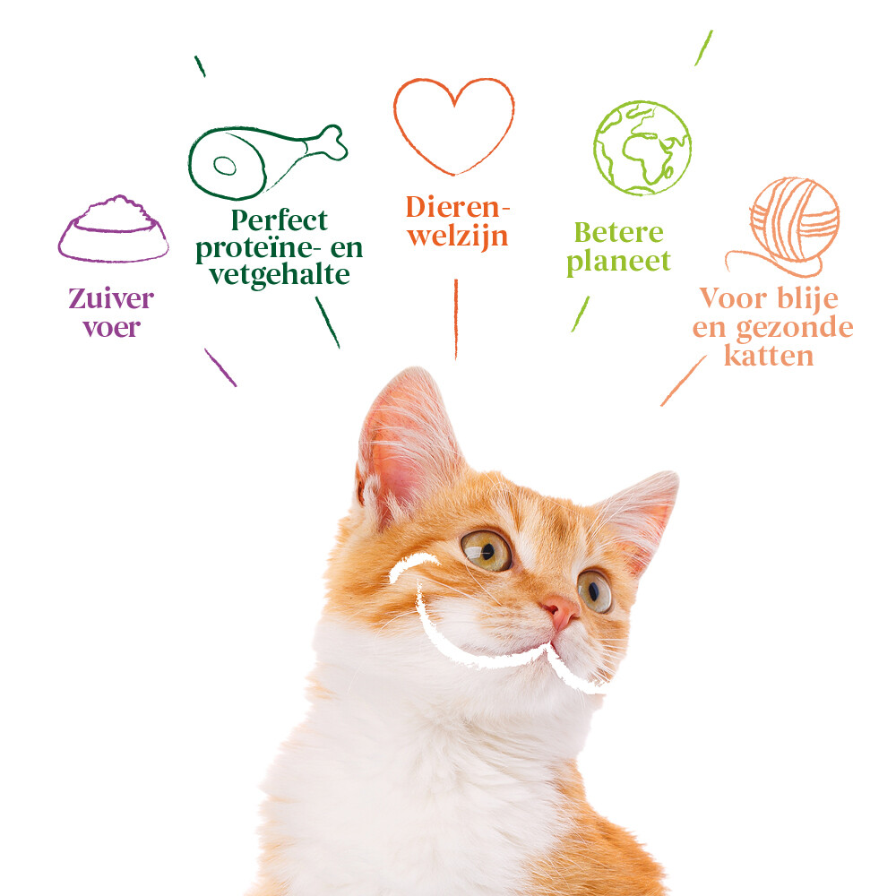 14x Yarrah Bio Kattenvoer Kalkoen85 gr