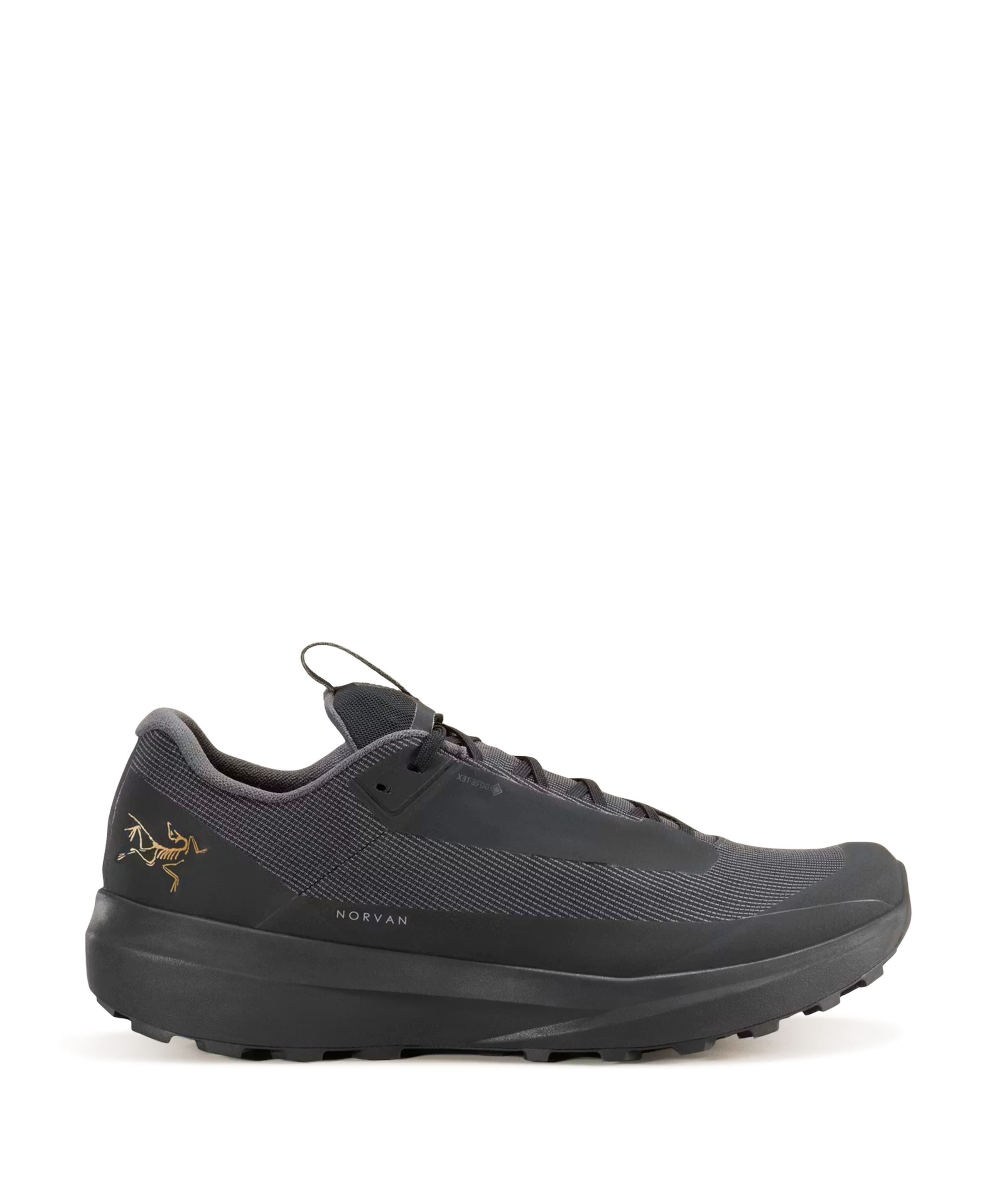 Arc'teryx NORVAN LD 4 GTX MEN heren wandelschoenen zwart