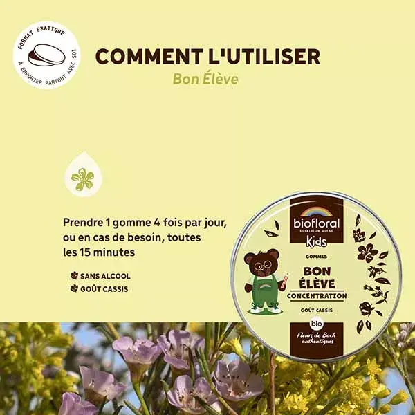 Gomas de mascar orgânicas Biofloral Good Student para crianças, 45g