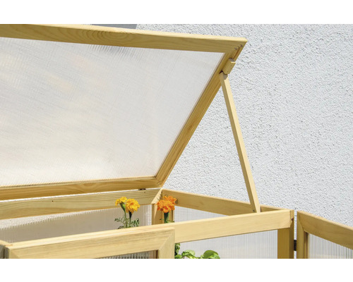 dobar Dome grote propagatiekast 56 x 52 x 110 cm natuurlijk