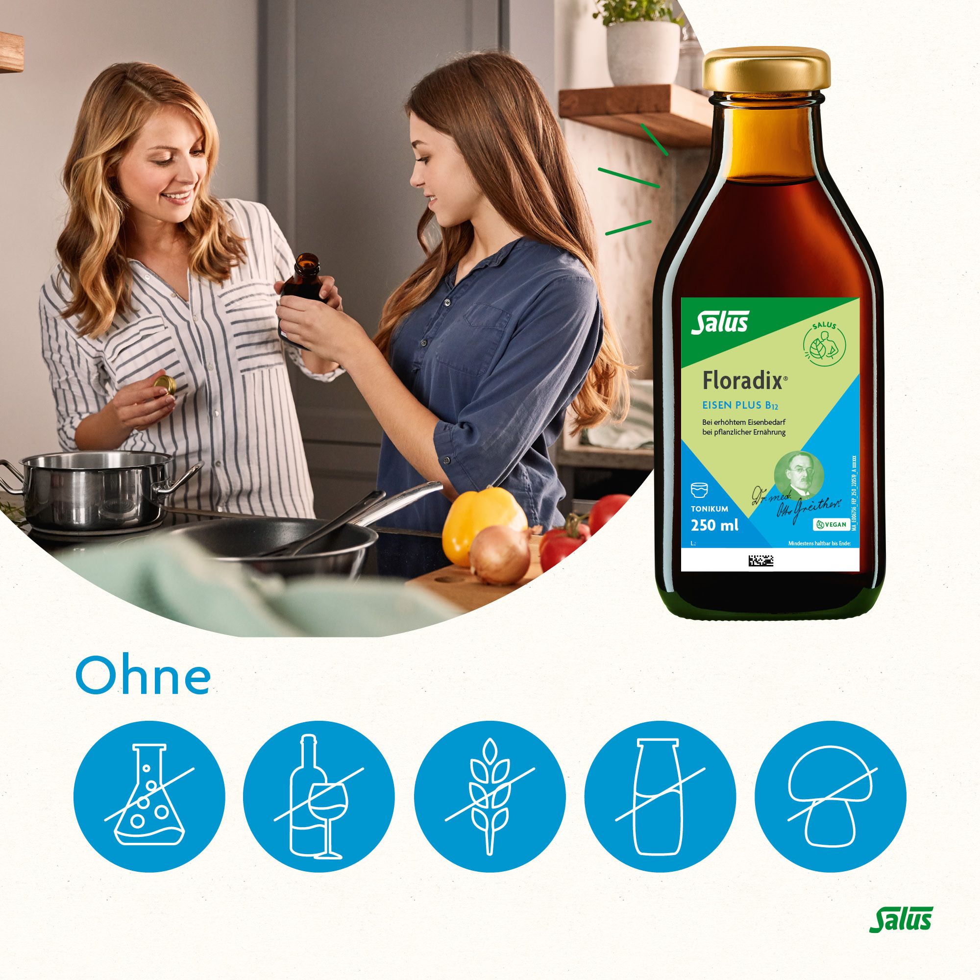 Salus® Floradix® Eisen plus B12 vegan