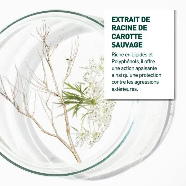 Vendôme Laboratories - REPARV+ Tratamento Facial Rico 50ml