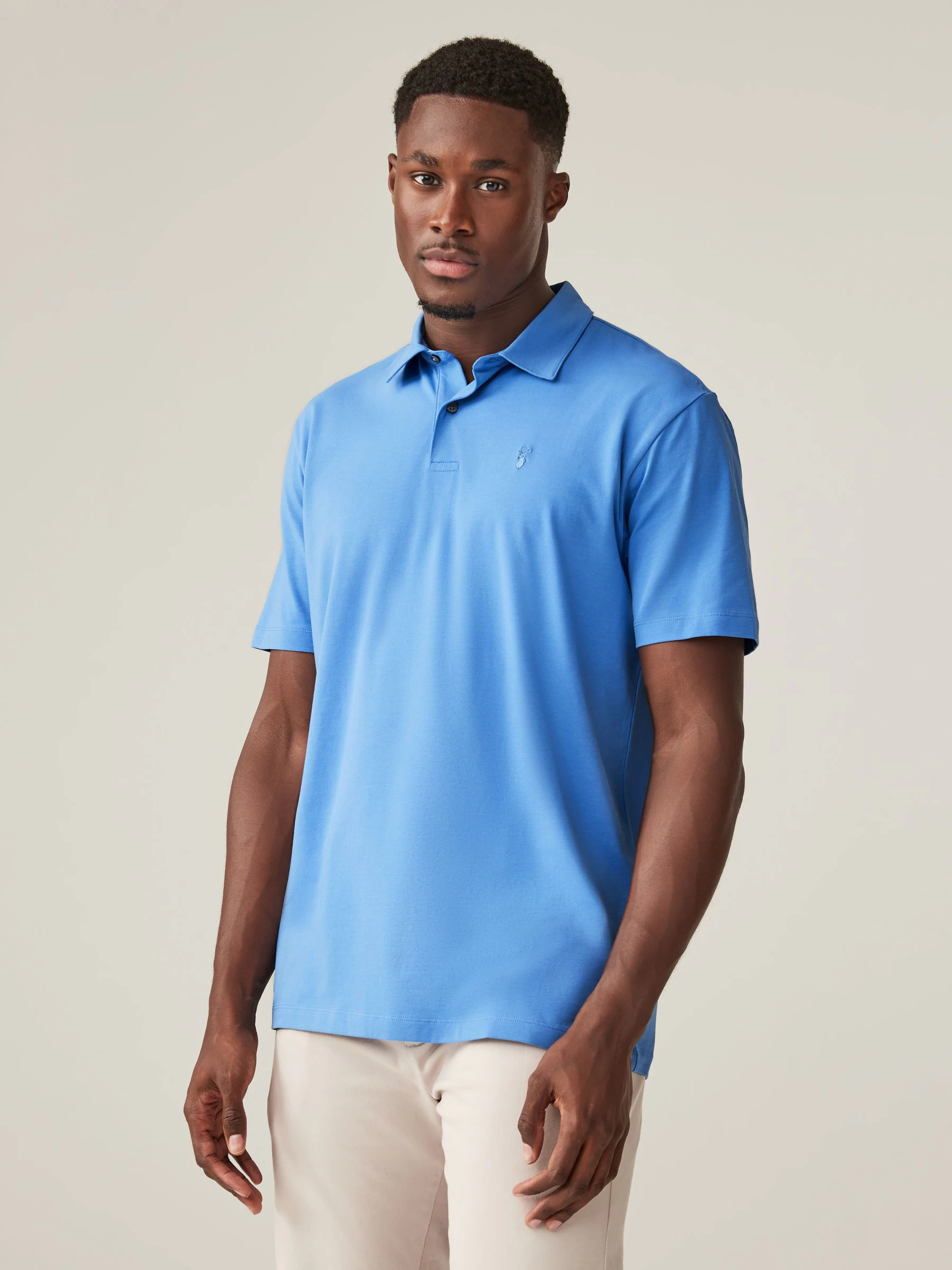 Blauw - Normale Pasvorm - Set van 5 jersey poloshirts met korte mouwen
