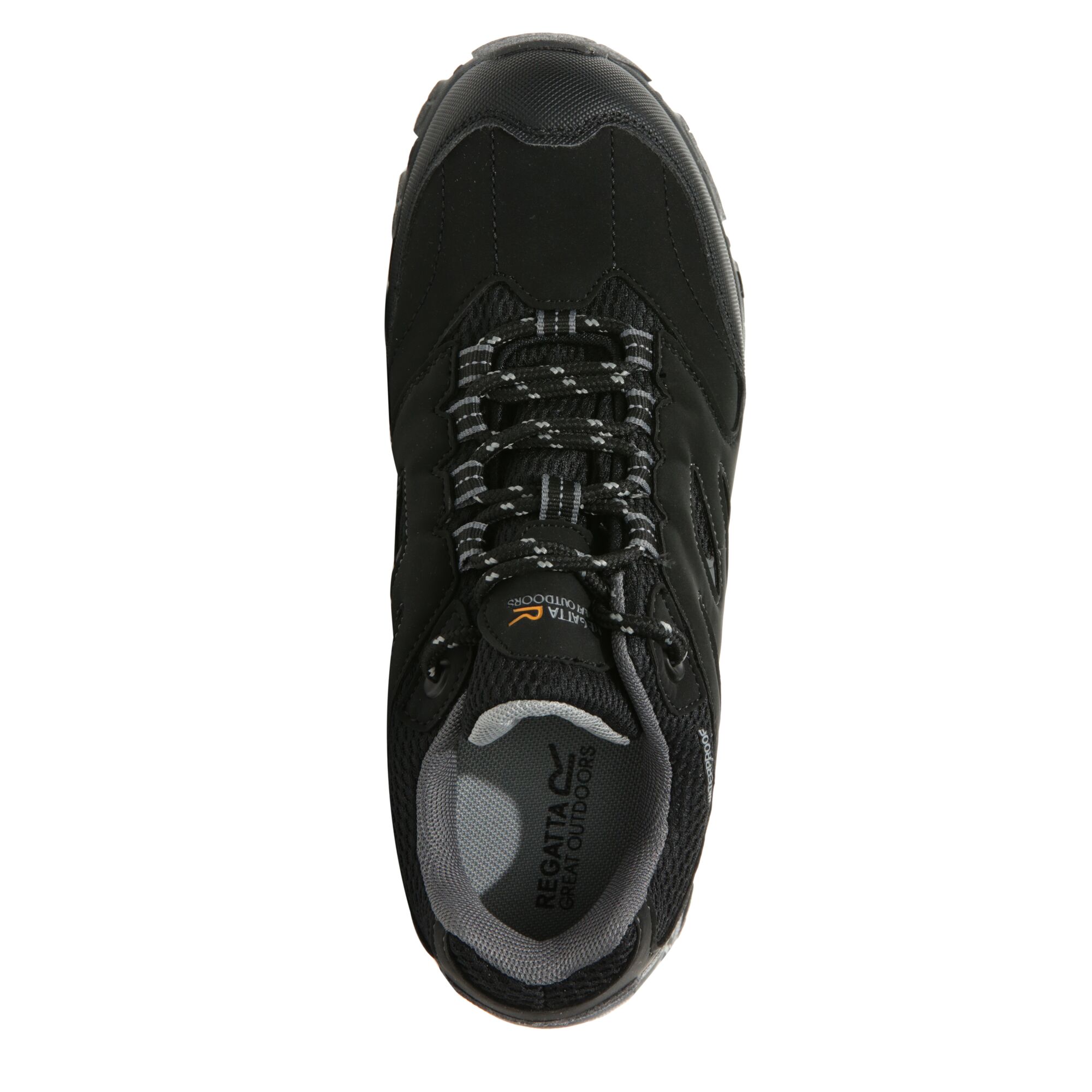 Botas de caminhada Regatta Holcombe Low com cadarço
