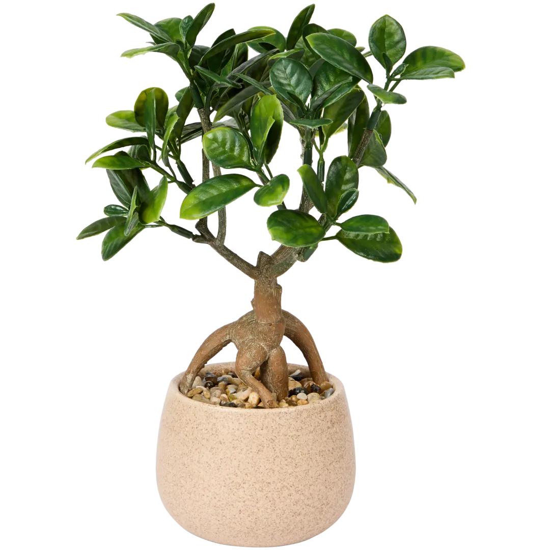 Ficus artificiel Excellent Flowers