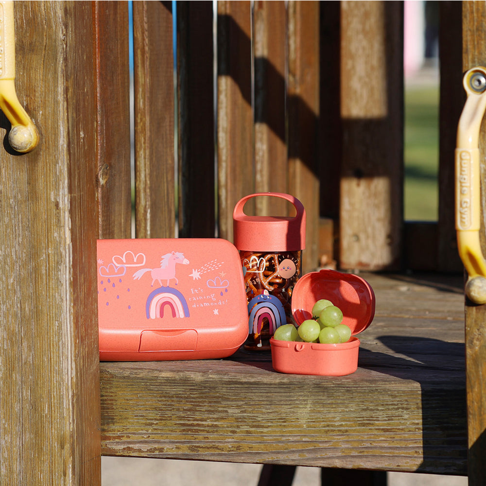 Køb Koziol Organic Coral Red Snackbox Pascal Mini Dreams