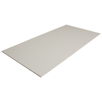 Multiplex plaat profipaint gegrond grijs 10 mm 122x61 cm