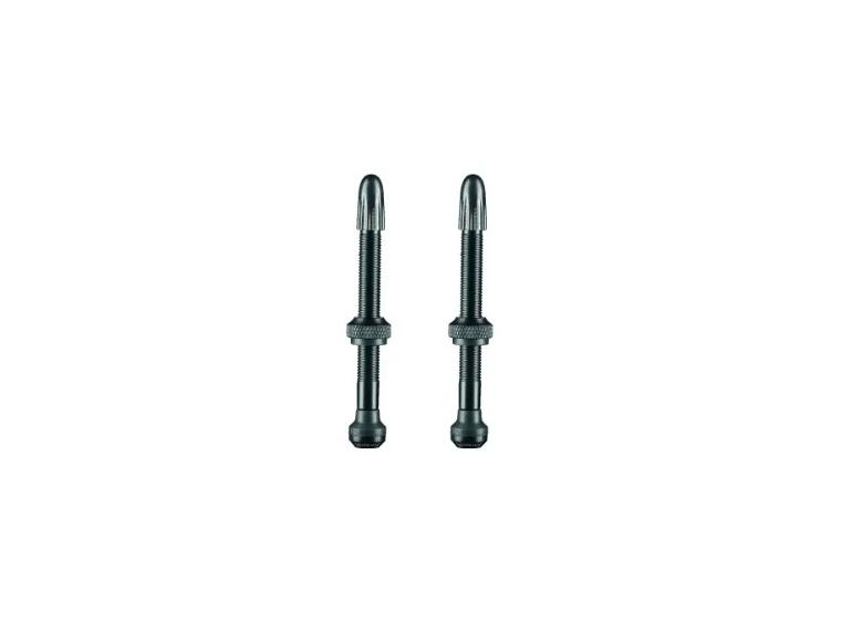Schwalbe Tubeless Ventielen