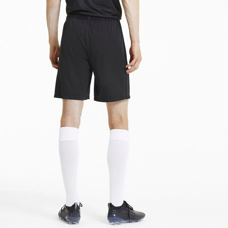 Puma Teamfinal 21 Knit Shorts Sort
