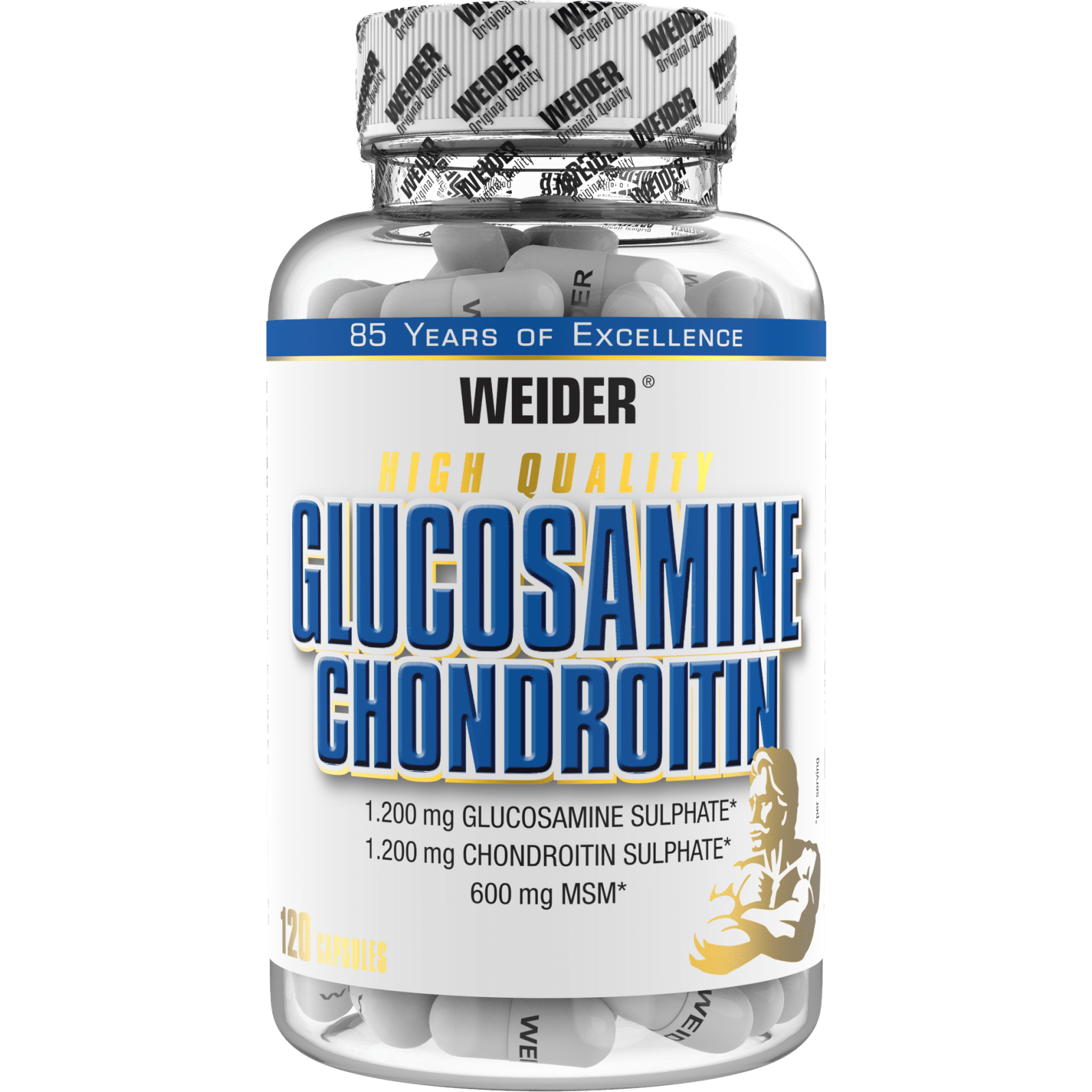 Glucosamine + Chondroitin Plus MSM (120 Kapseln)