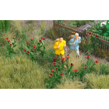 Busch Klatschmohn