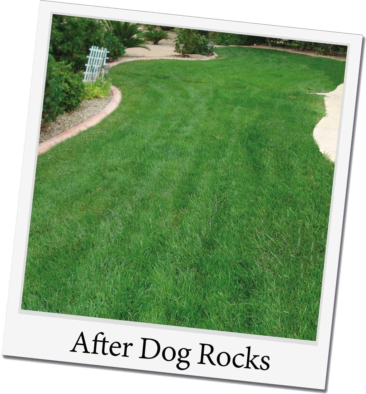 Dog Rocks natuurstenen 200 g