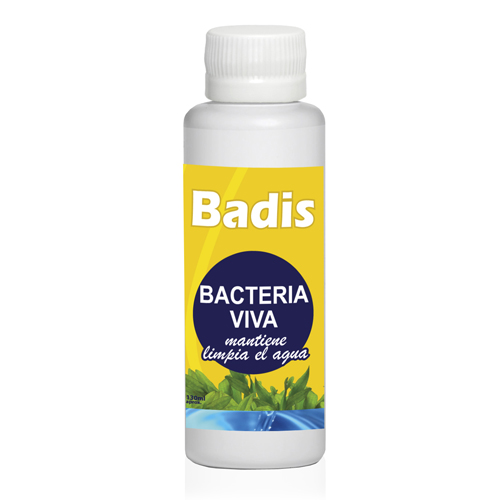 BADIS BACTÉRIAS VIVAS