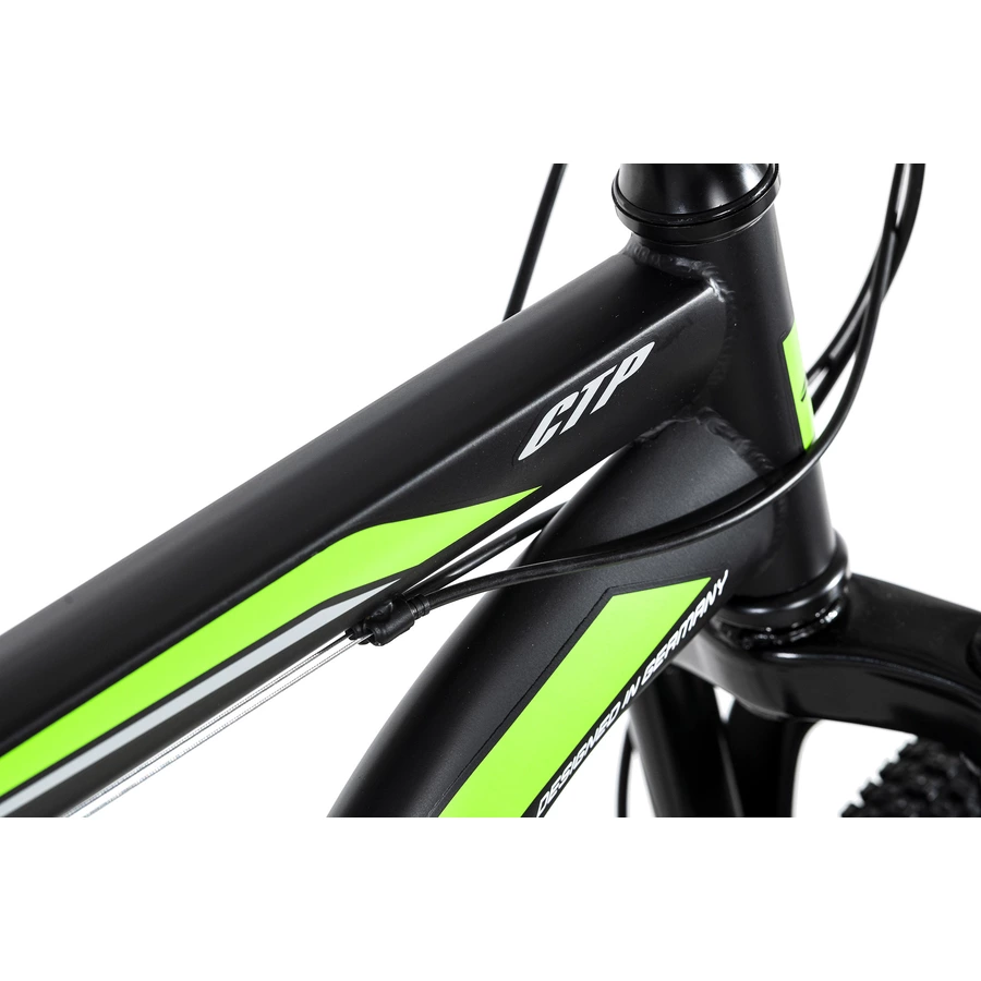 KS Cycling Mountainbike Hardtail 29 Zoll Catappa schwarz-grün schwarz-grün