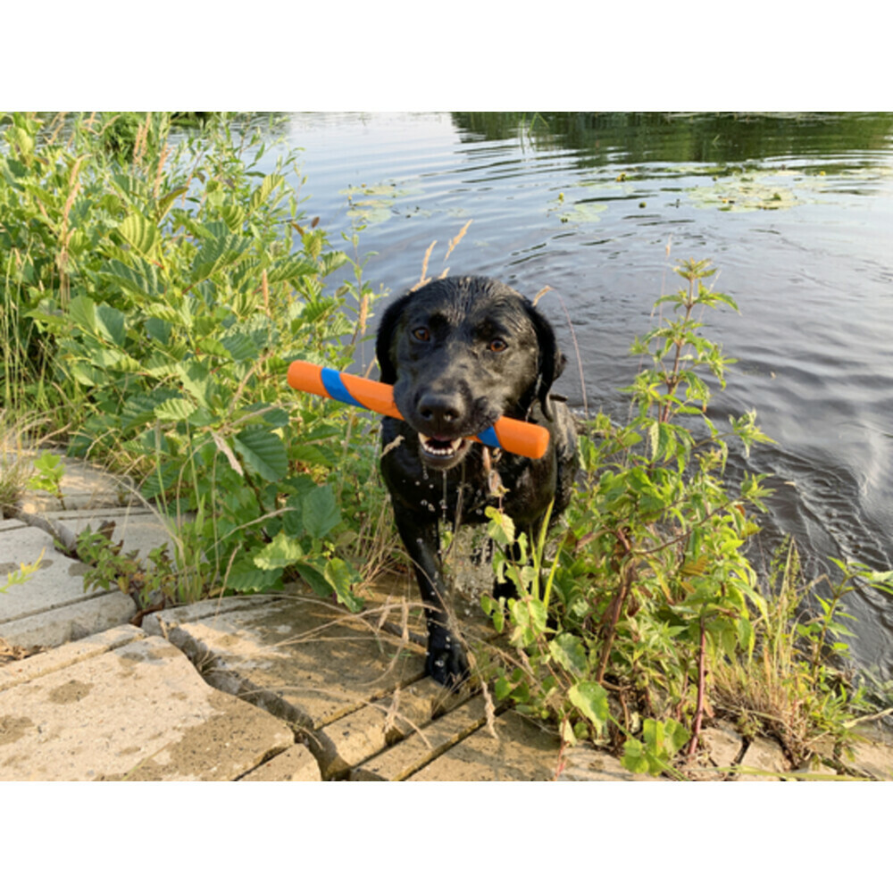 Chuckit Ultra Fetch Stick 28 cm