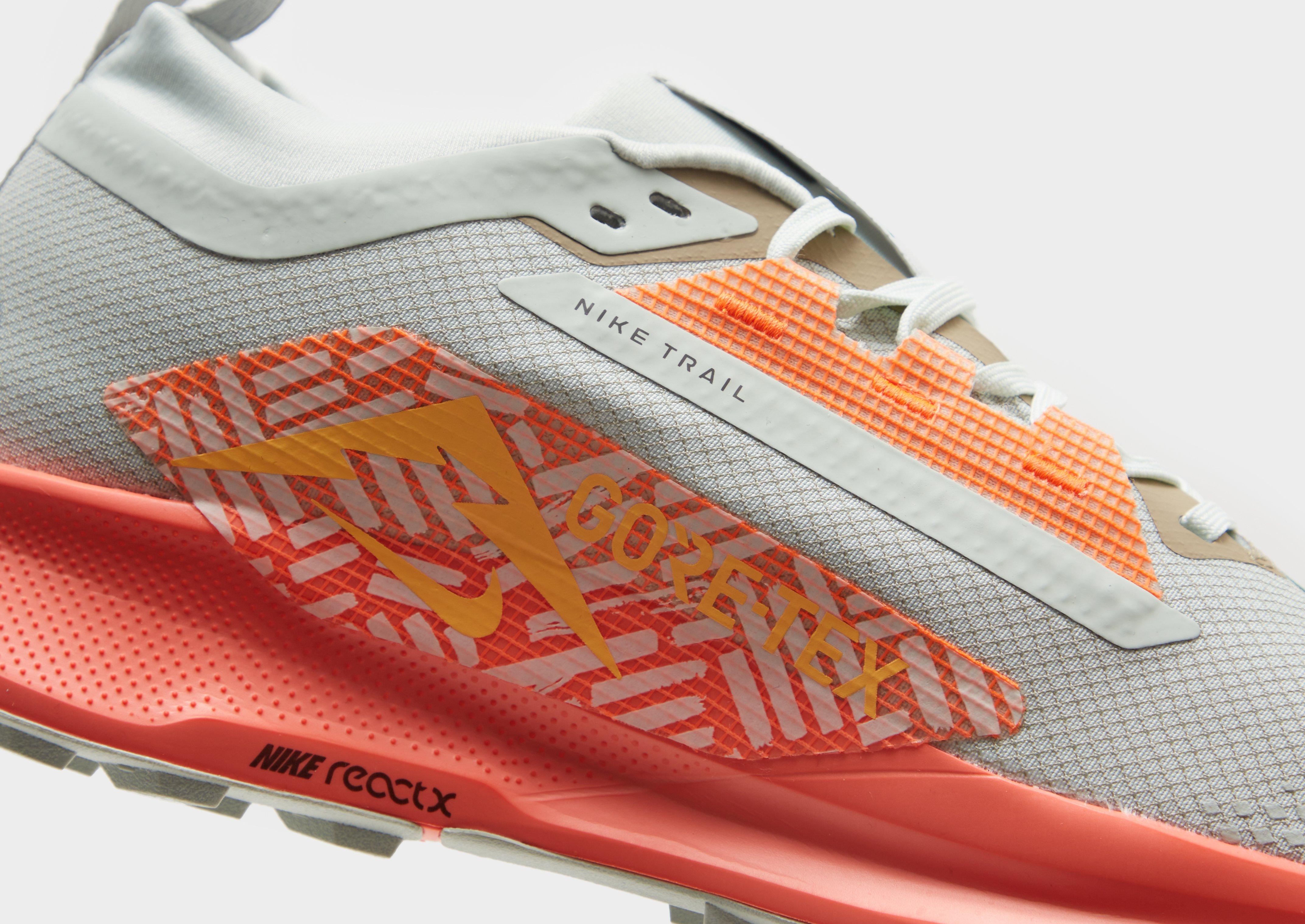 Nike Pegasus Trail 5 GORE-TEX Homme