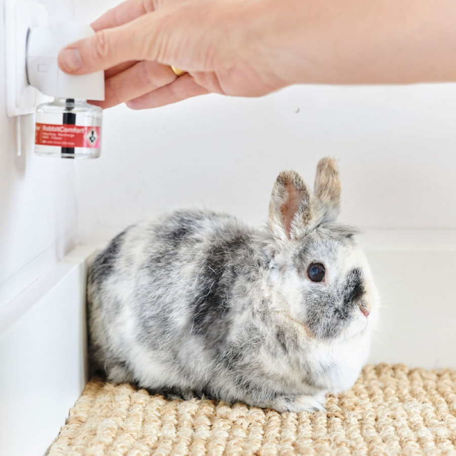 Difusor e refil Beaphar RabbitComfort para coelhos